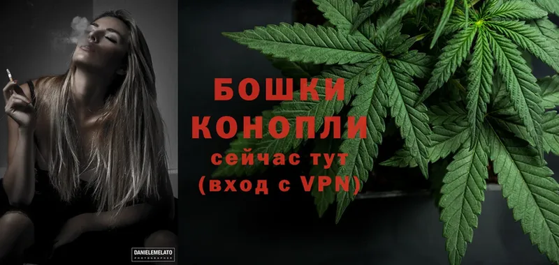 Бошки Шишки THC 21%  Белоусово 